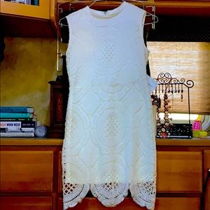 Stella Luce Lace Dress